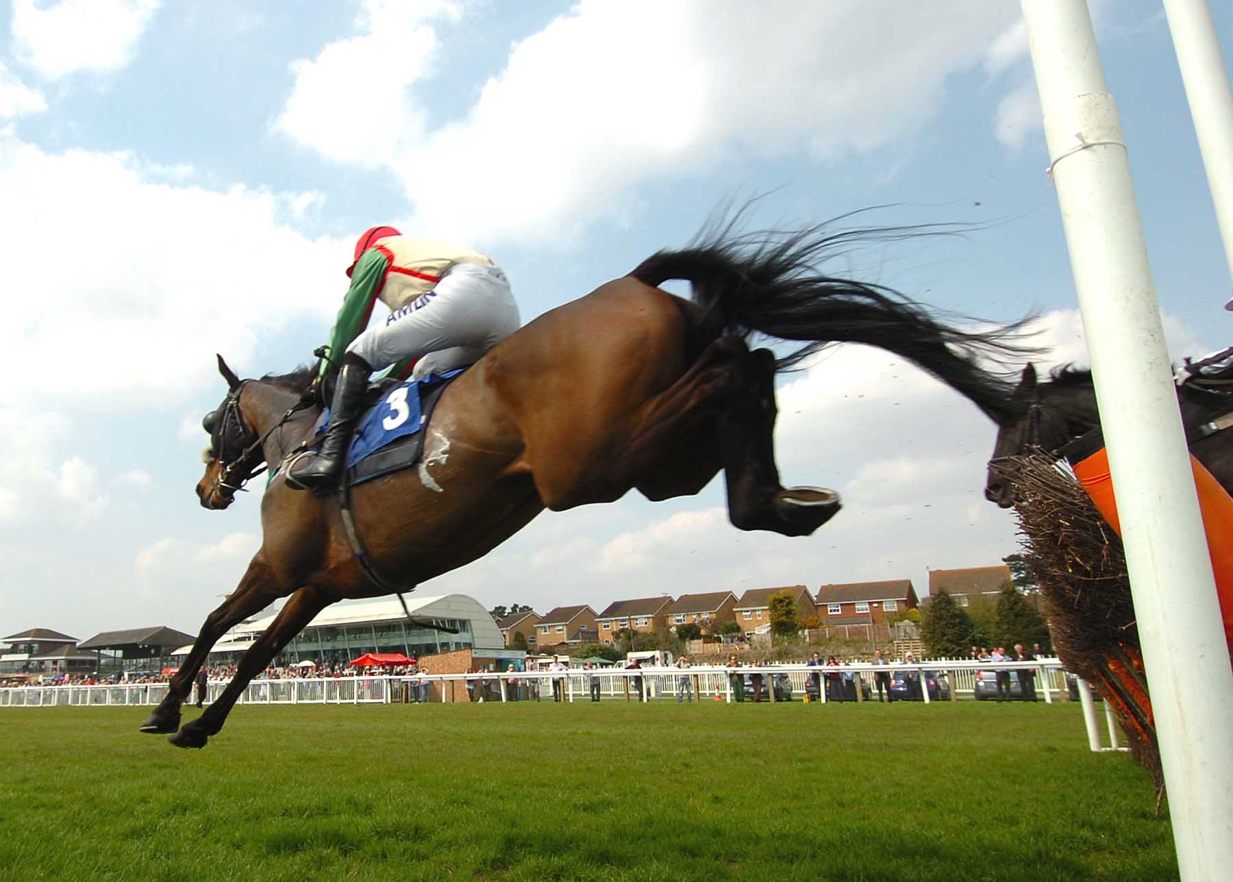 Friday Evening Racing