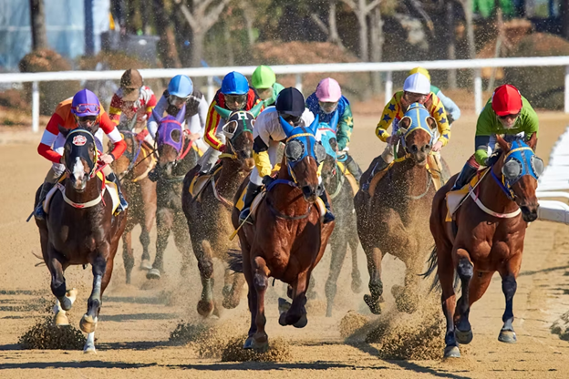 Key Horse Racing Fixtures That Capture Massive International Attention