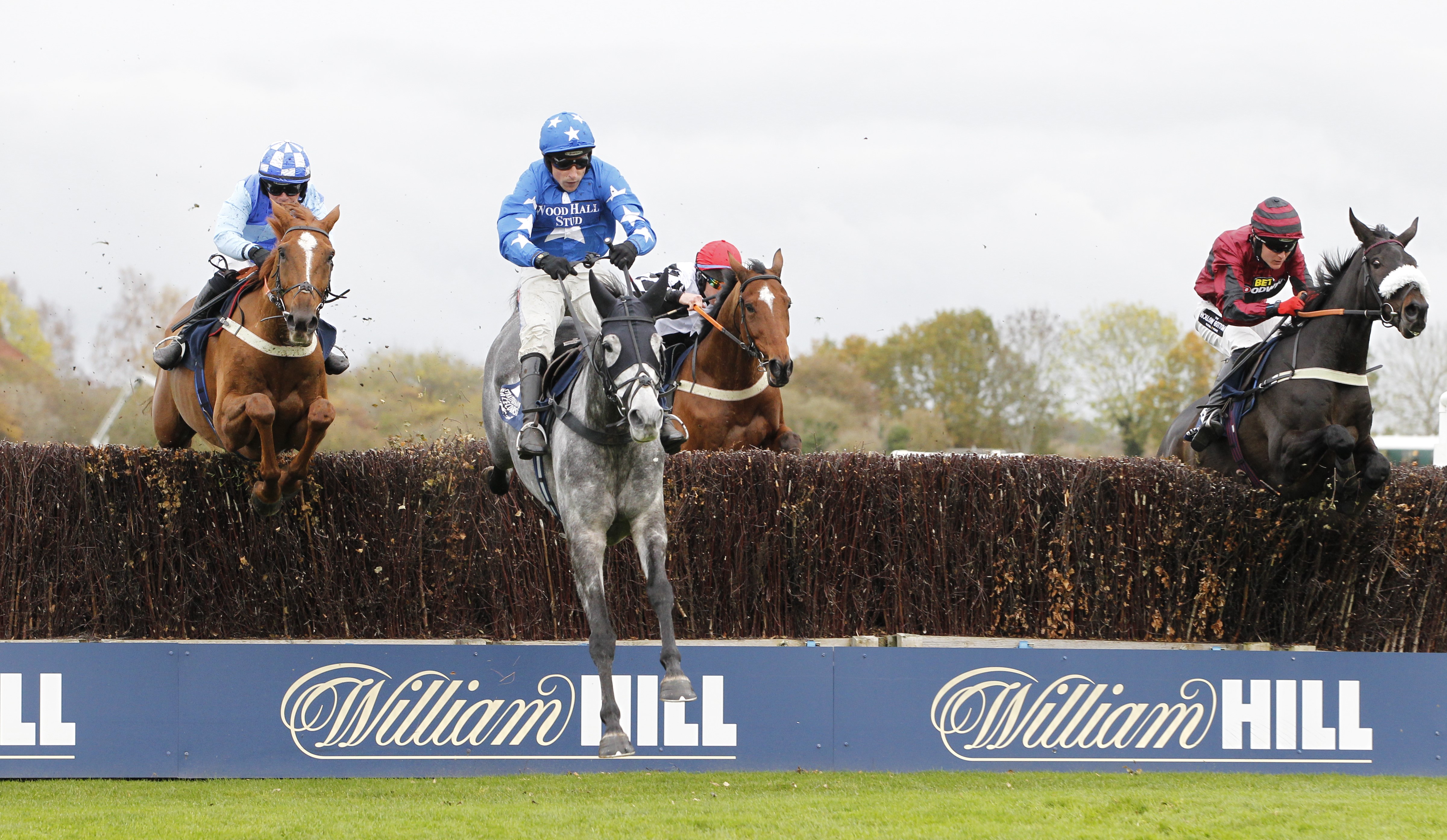 Stratford winner Be Aware Set For Arkle Trophy